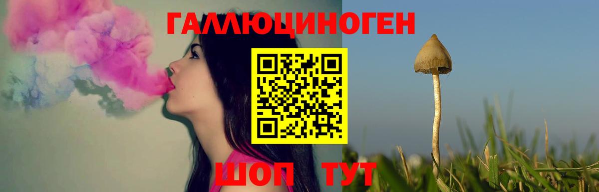Галлюциногенные грибы мухоморы Балашиха